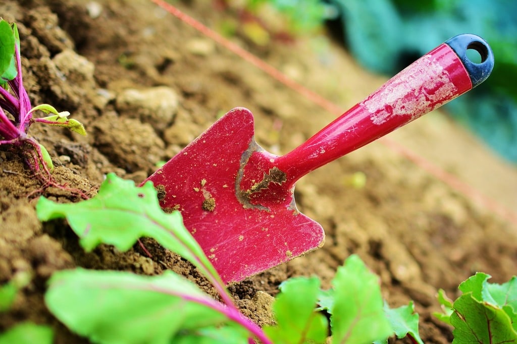 Matériaux et styles populaires pour les jardinières modernes